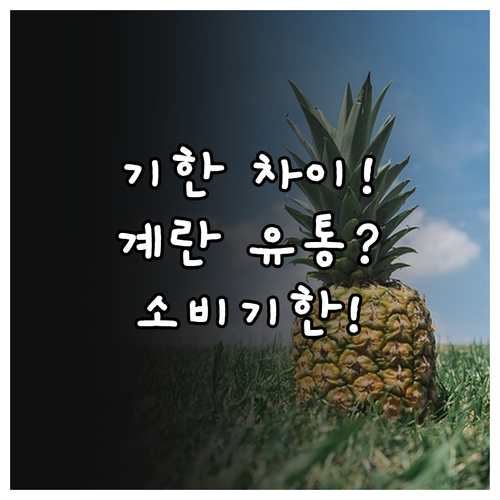 유통기한과 소비기한 차이 냉장 계란 ..