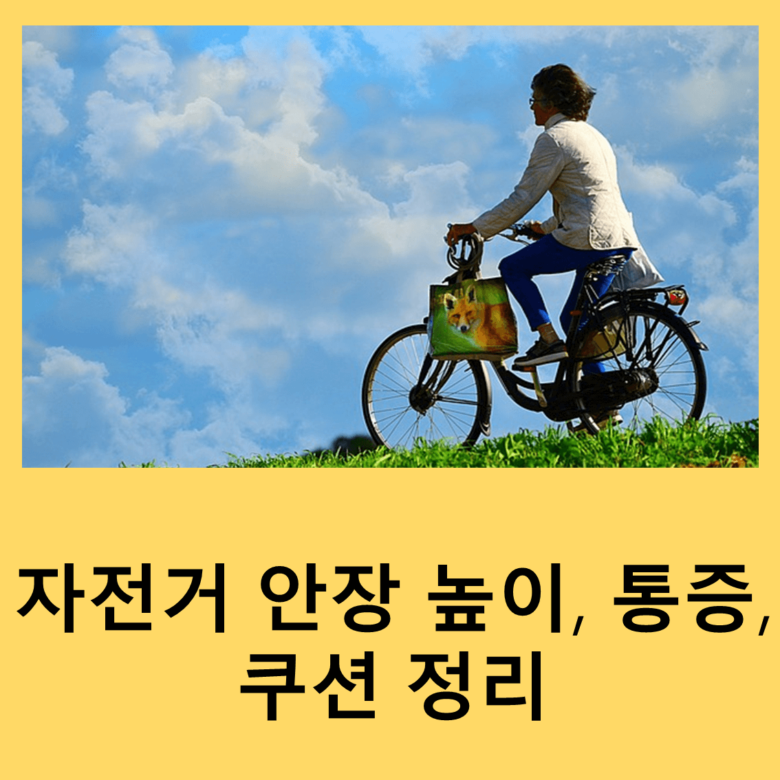 안장