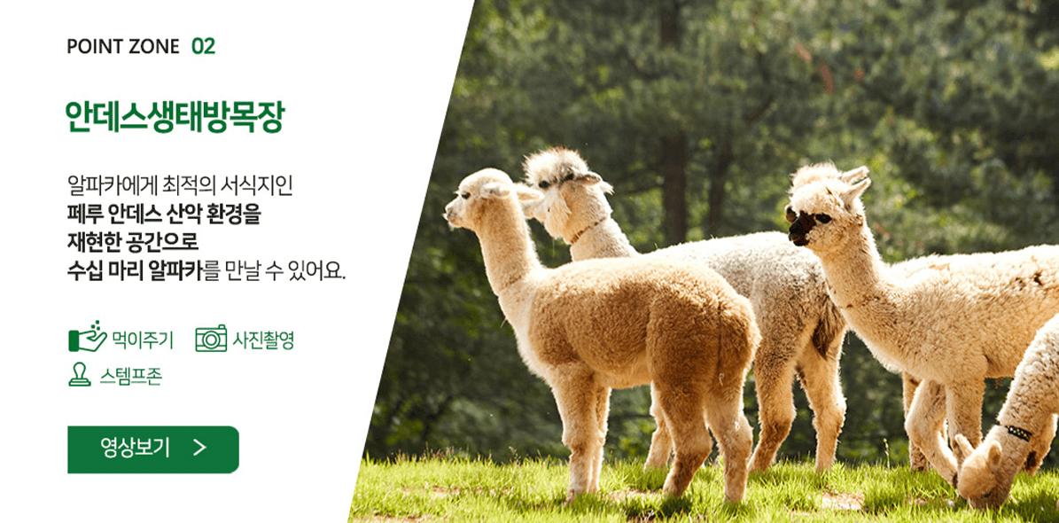 알파카월드