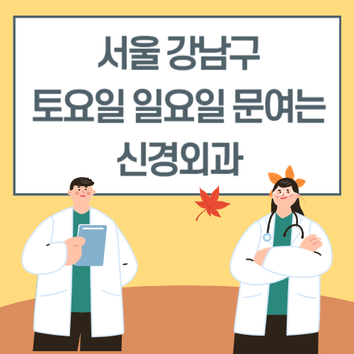 서울 강남구 토요일 일요일 신경외과 진료 병원 리스트