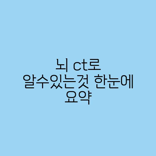 뇌 ct로 알수있는것 한눈에 요약