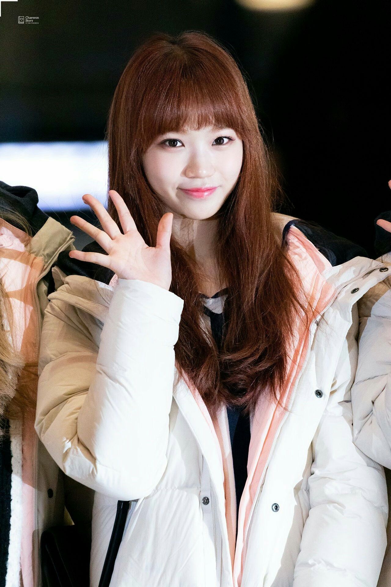 김채원 사진 모음