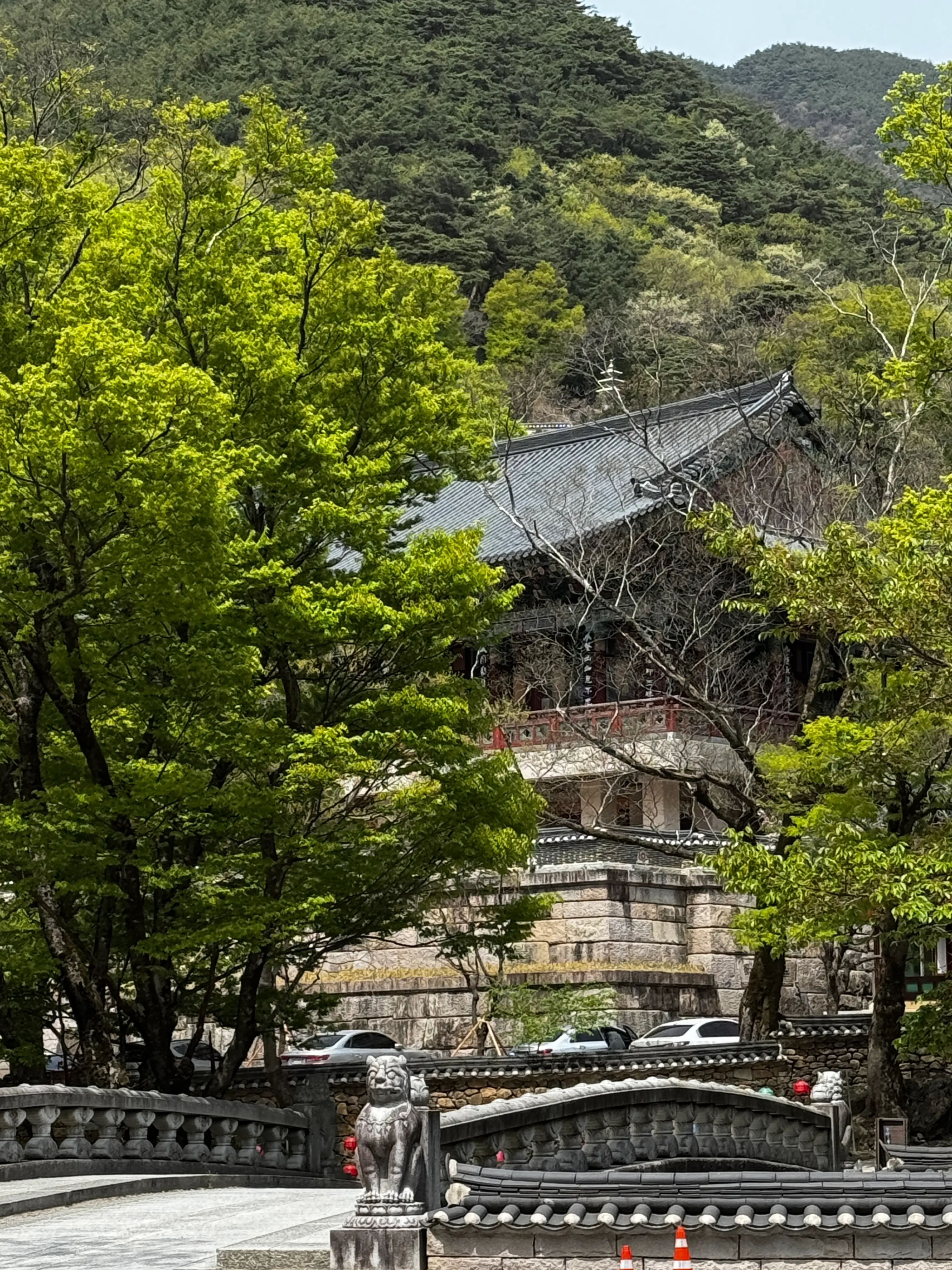 마음이 편해지는 구례 화엄사의 자연