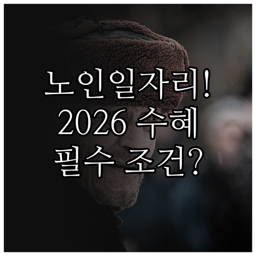 만 65세 이상 노인일자리 근로장려금..