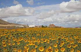 2024 공익직불제 신청방법 및 신청기간 혜택 총정리