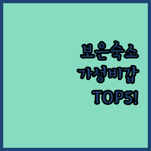 보은 숙소 추천 TOP 5 위치 장점..