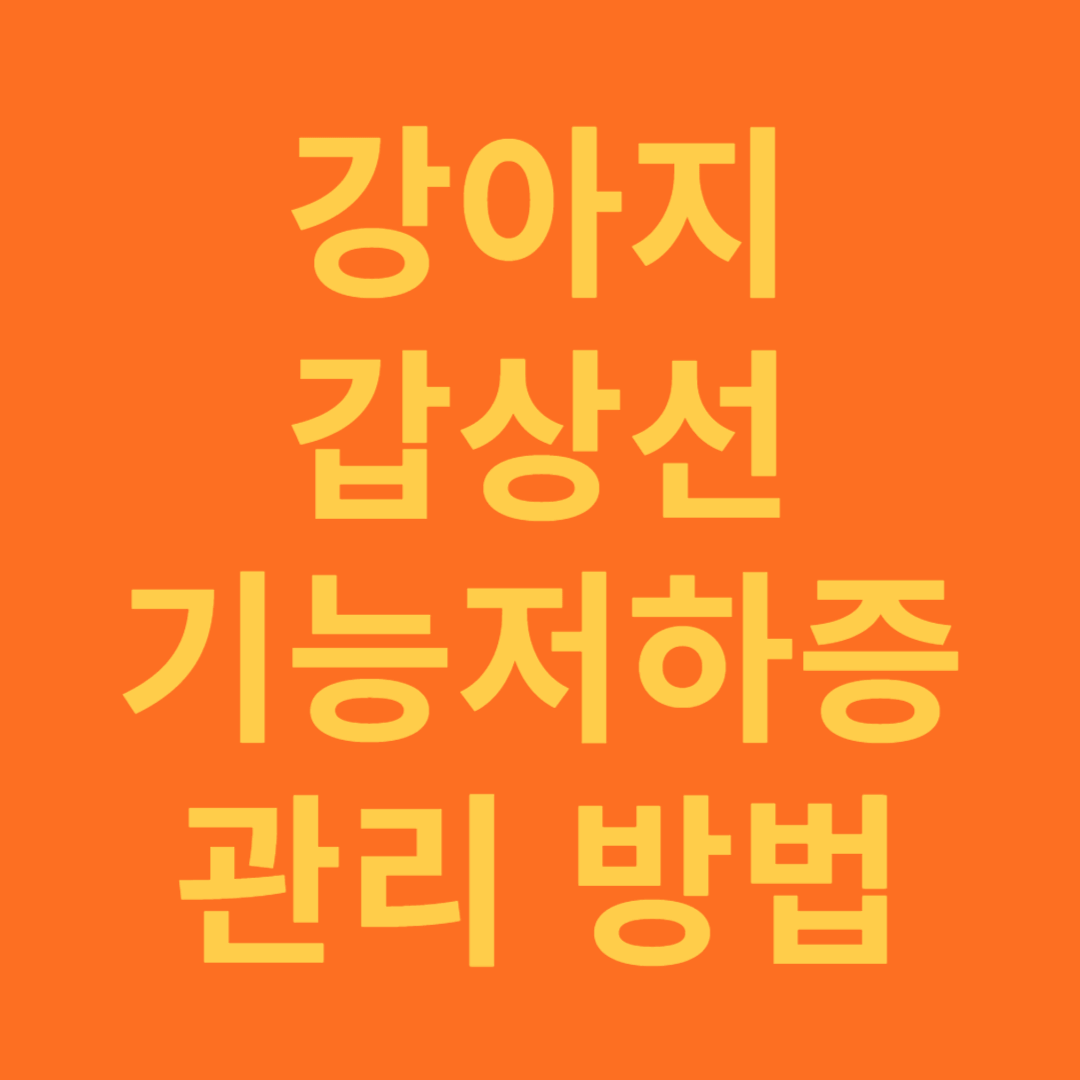강아지의 갑상선기능저하증 효과적 관리 방법