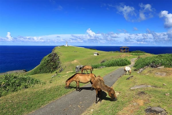 요나구니섬 교통