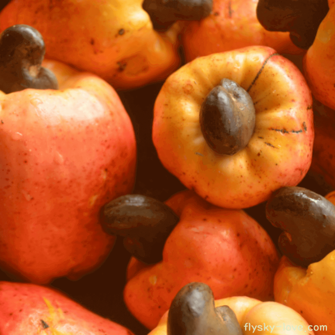 캐슈 애플(Cashew Apple) 효능