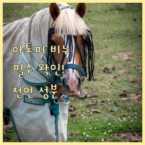 아토피 피부에 좋은 천연비누, 이것만..