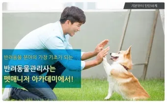 반려동물관리사 취득비용 온라인강의 취업처 은퇴 후 반려업 진입법_7