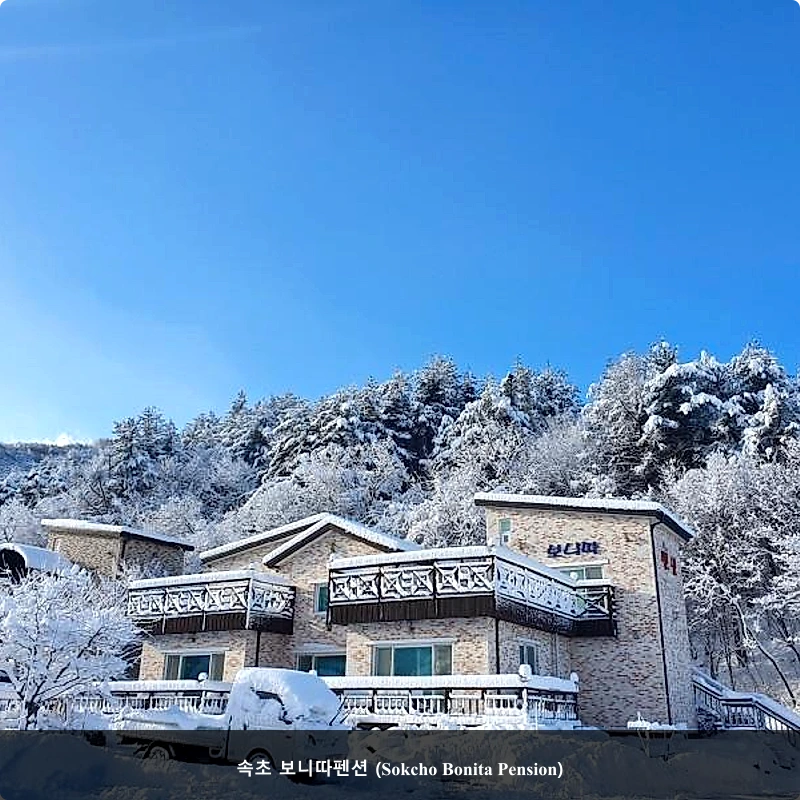 속초 보니따펜션 (Sokcho Bonita Pension)_4