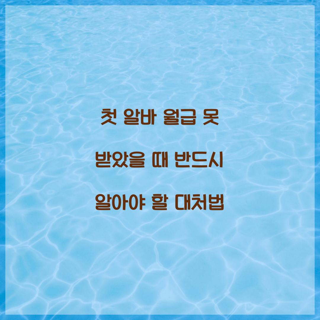 첫 알바 월급 못 받았을 때