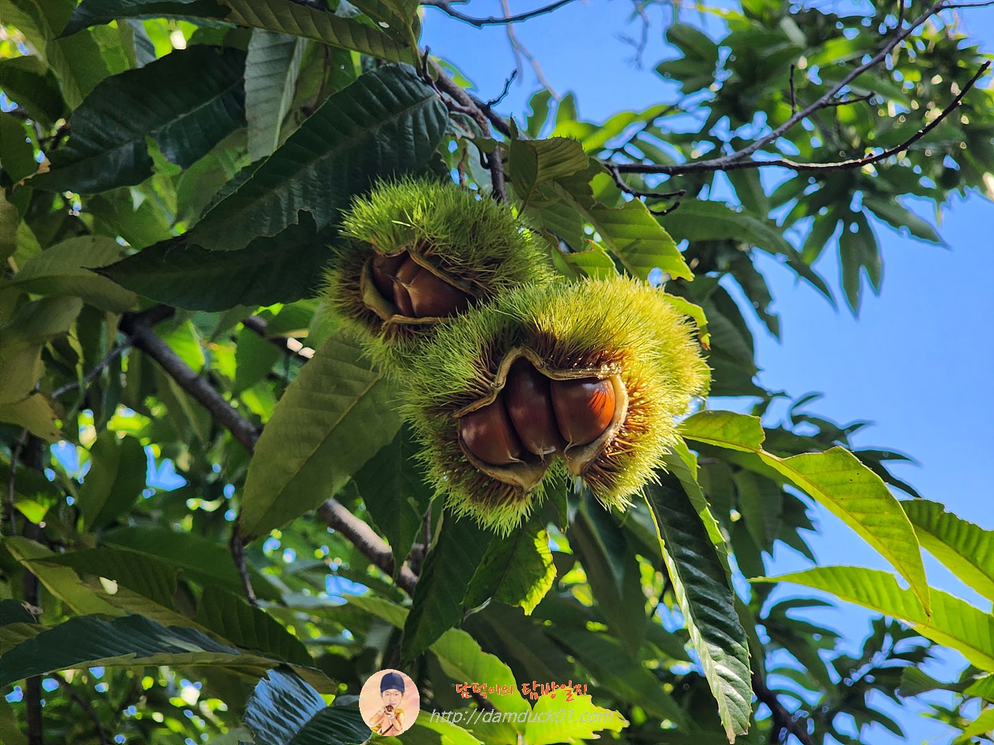 테라로사 커피공장 강릉본점 정원