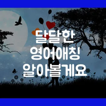 연인 사이에 귀여운 애칭 추천 자료집_9