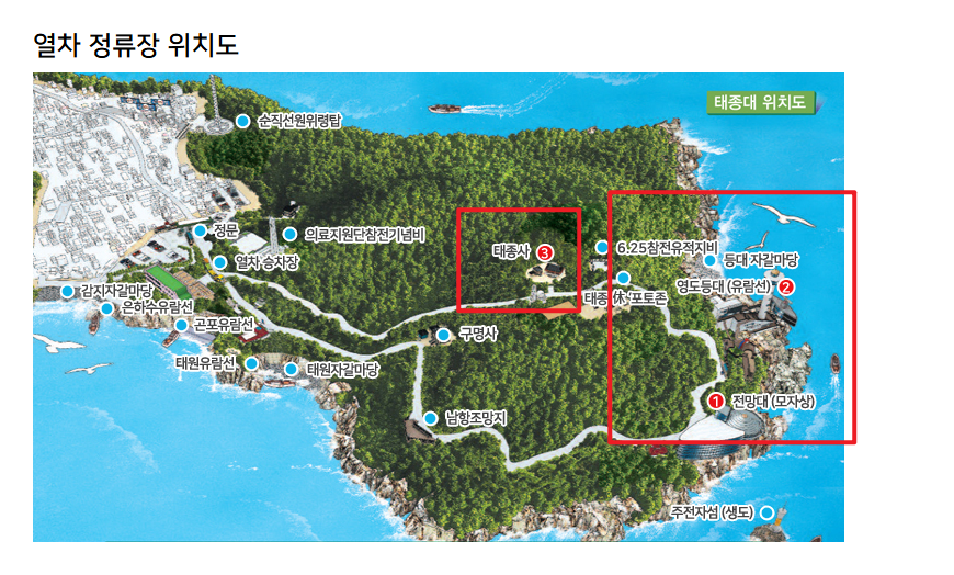 부산 태종대 수국축제기간9