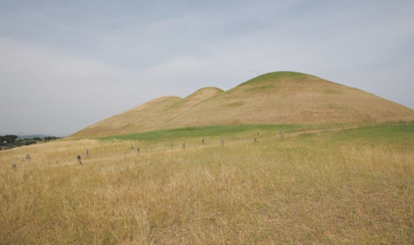 고성 가볼만한곳