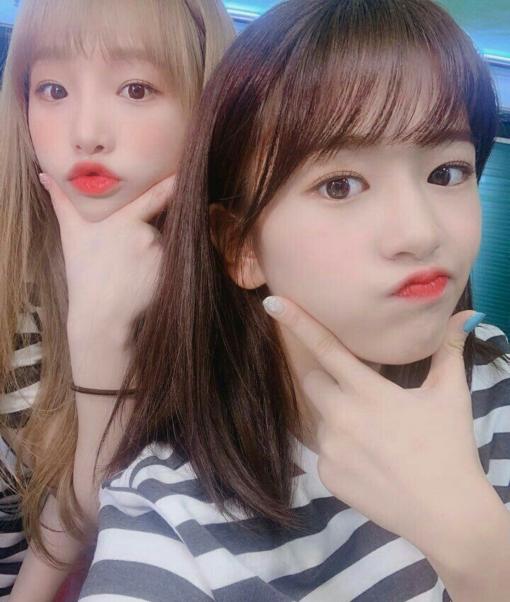아이즈원 프로듀스48 사진 모음 아이즈원 프로듀스48 사진 모음