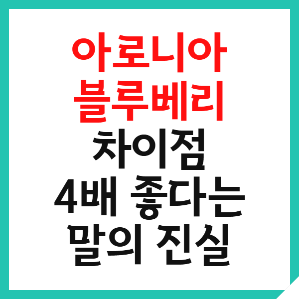 아로니아 블루베리 차이점