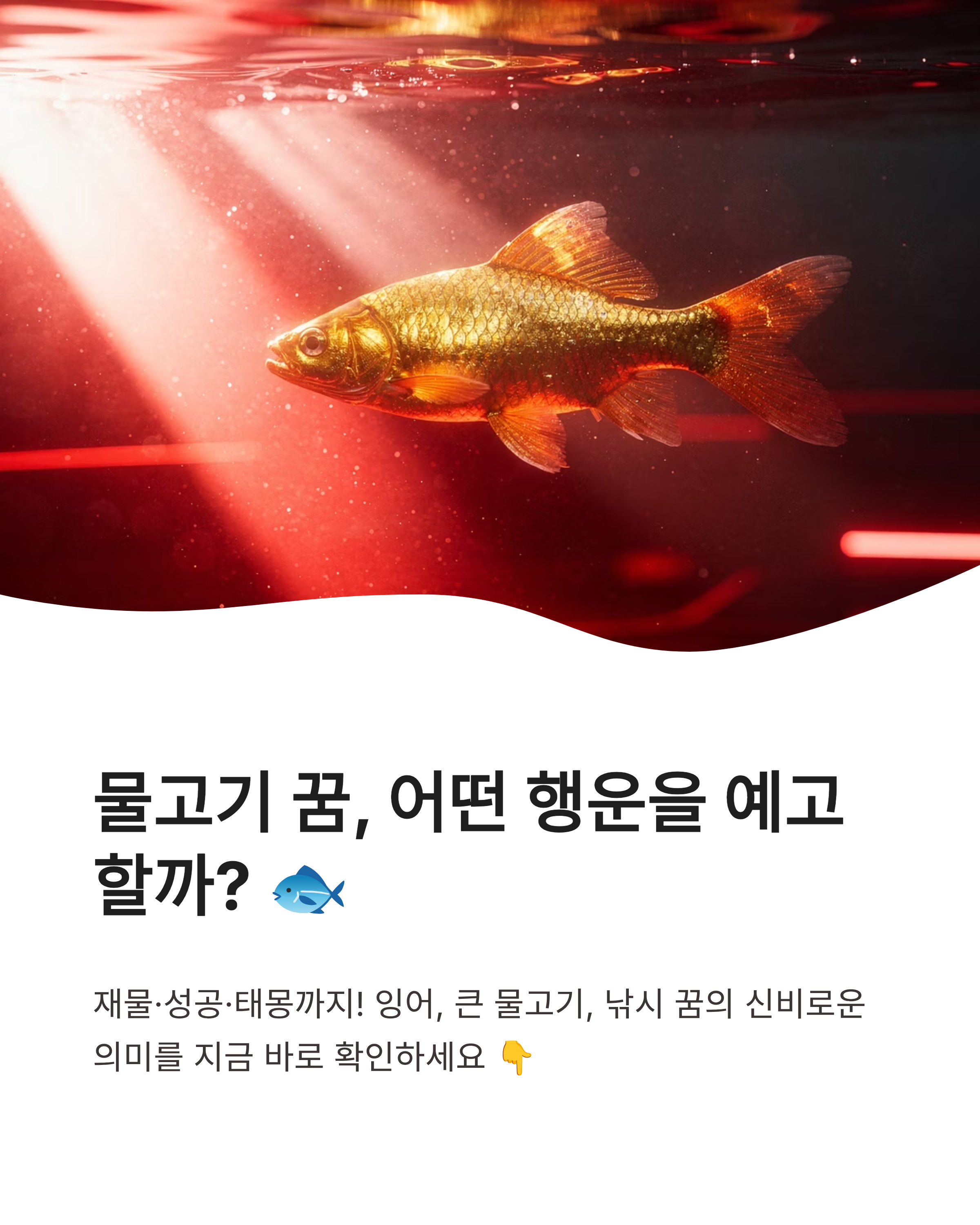 물고기 꿈 해몽 ❘ 잉어 잡는 큰 물고기 낚시하는 꿈, 태몽부터 재물운까지 대박 징조 완벽 풀이!