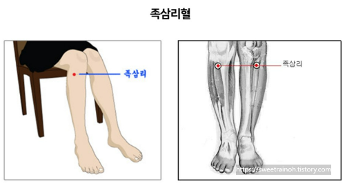 족삼리혈-혈자리-사진