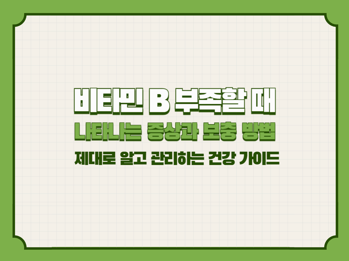 비타민 B 부족할 때 나타나는 증상과 보충 방법 – 제대로 알고 관리하는 건강 가이드