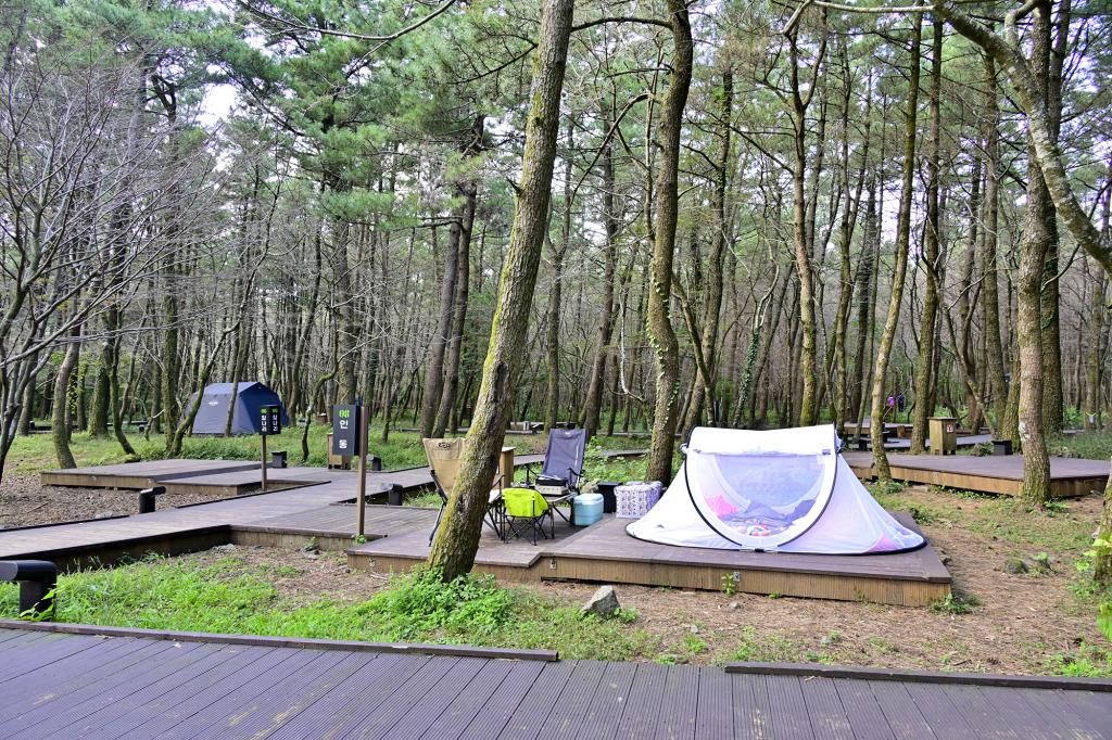 제주 붉은오름 자연휴양림 숲속야영장