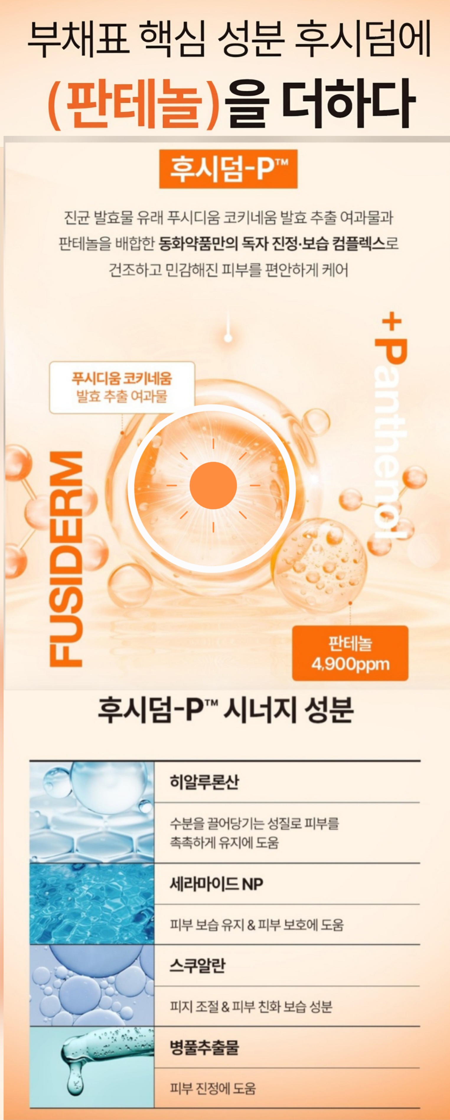 후시덤 BB크림 후시덤P 판테놀 4900ppm 주요 성분