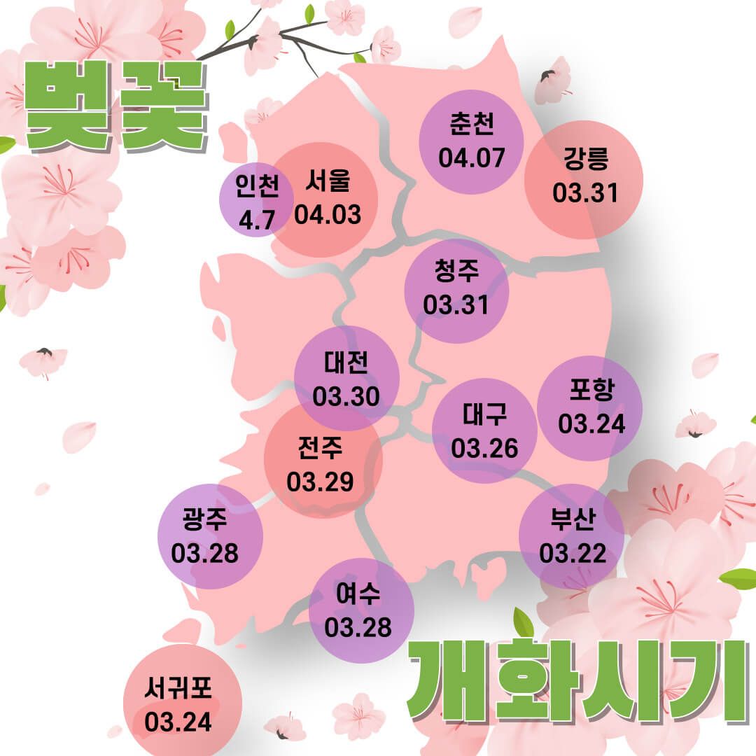 전국 벚꽃 개화 시기 및 축제일정