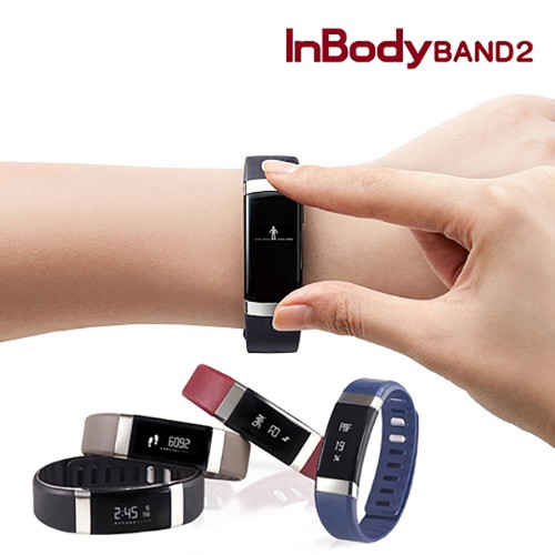 온서울건강온 인바디밴드2