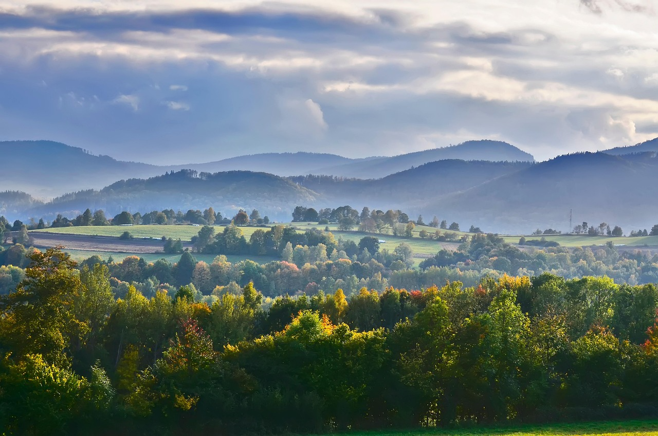 2026년 울산 동구 부동산 정보 관련 사진