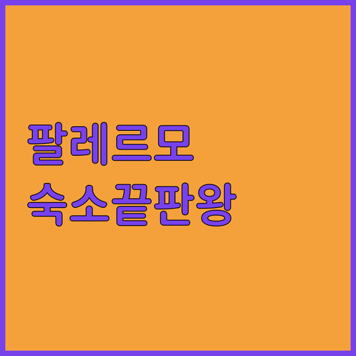이탈리아 팔레르모 숙소 추천 위치별 ..