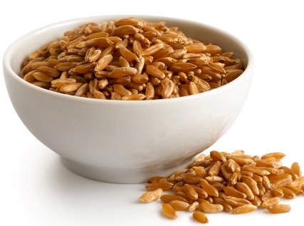 카무트 효소 만들기