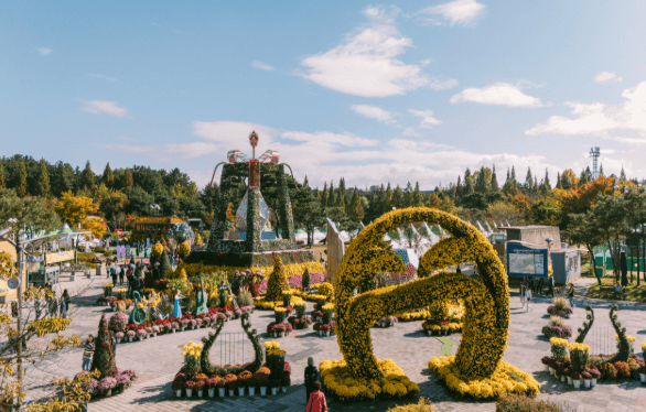 익산 천만송이 국화축제 2025 ❘ 가을에 꼭 가야 할 꽃축제