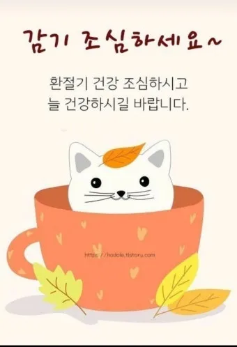 환절기 인사말 모음 예시 멘트_29