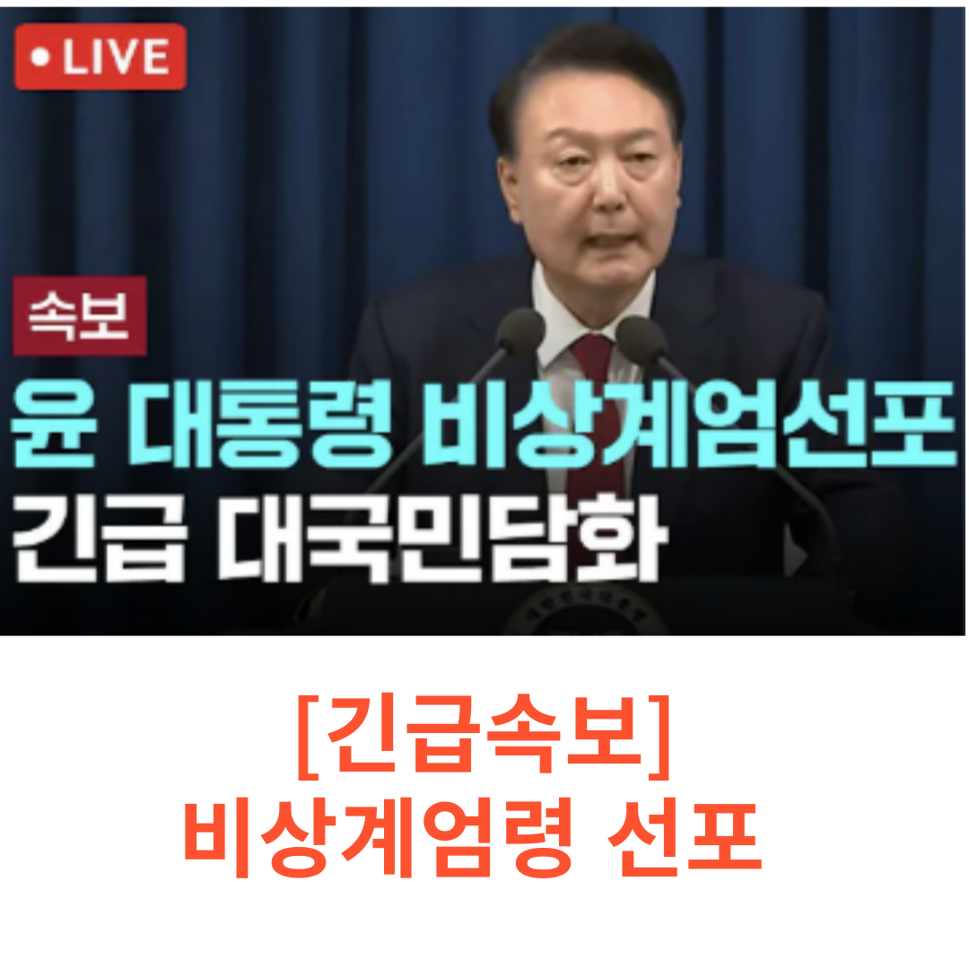 비상계엄령 선포