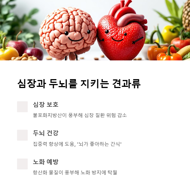 견과류가 주는 주요 건강 효과