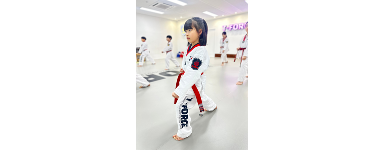 화성시 태권도장