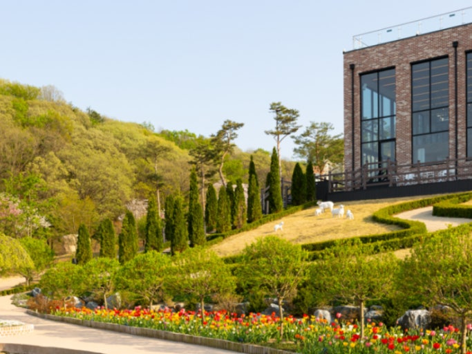 용인 자작나무숲 봄꽃축제 03