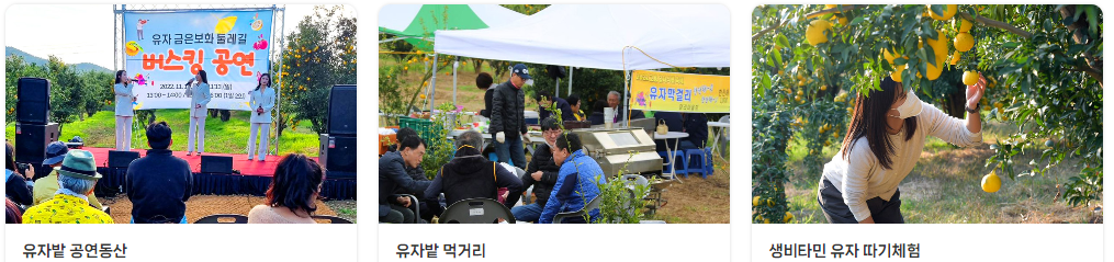 고흥 유자축제