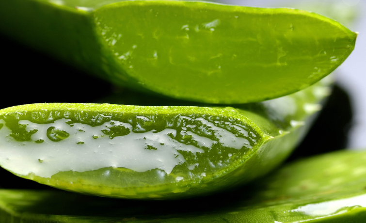 슈퍼푸드의 부상: 알로에, 해조류, 버섯의 새로운 가능성