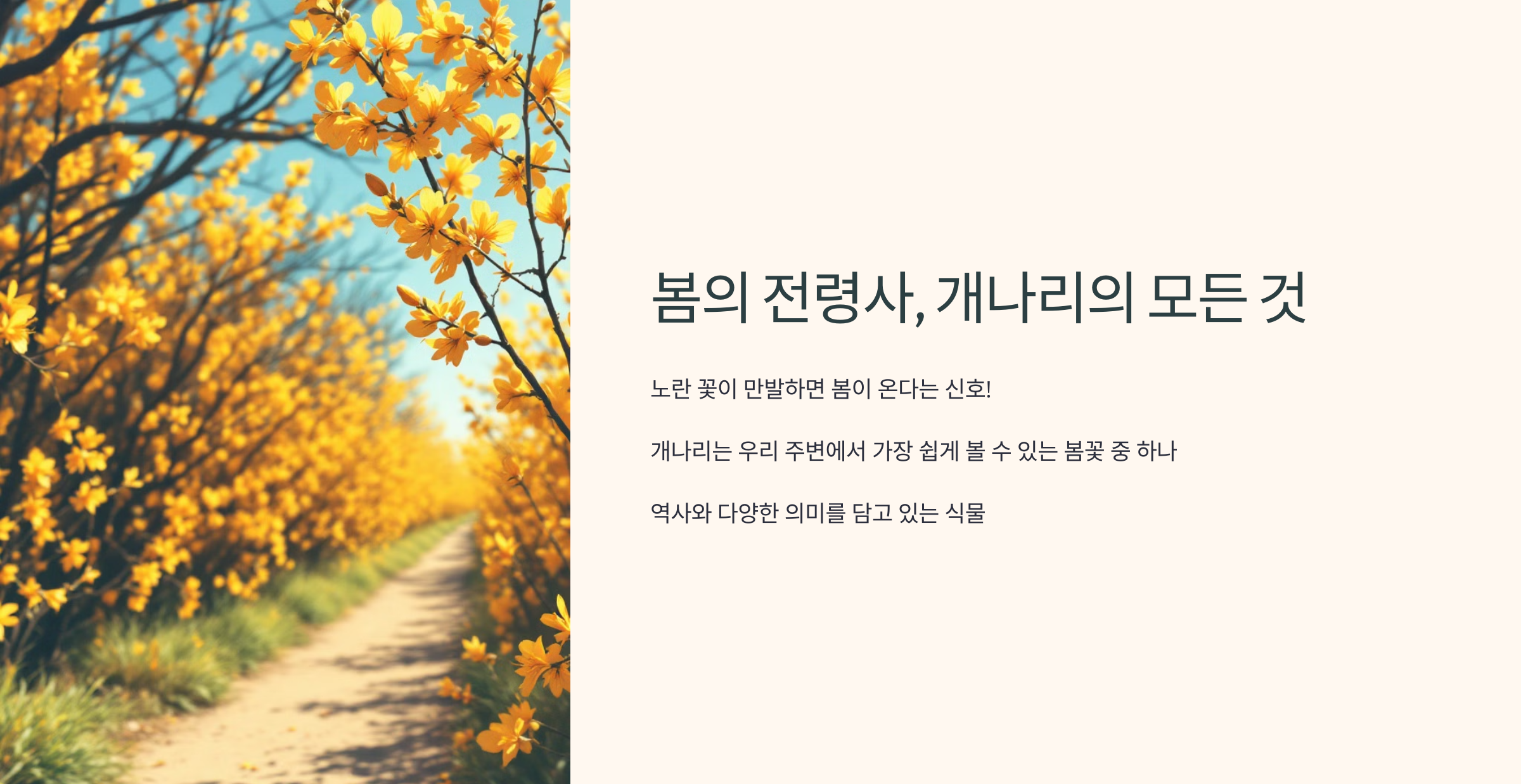 개나리꽃