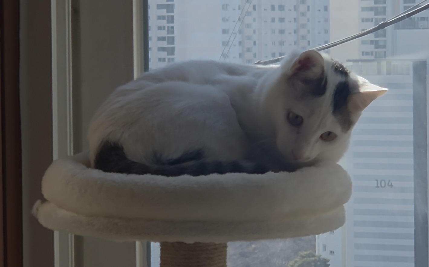 적정 실내 온습도