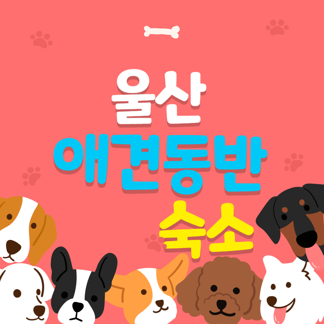 울산 애견동반