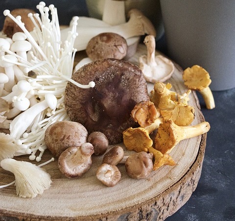 버섯 콜레스테롤 낮추는 음식