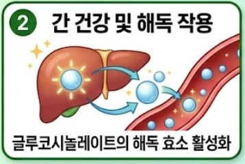 양배추즙의 효능