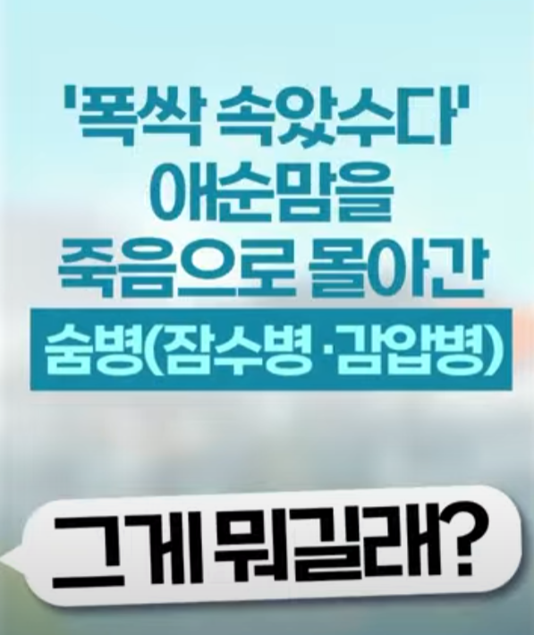 폭싹 속았수다 ‘숨병’의 정체는? 제주 해녀의 직업병, 감압병 완전 해부!