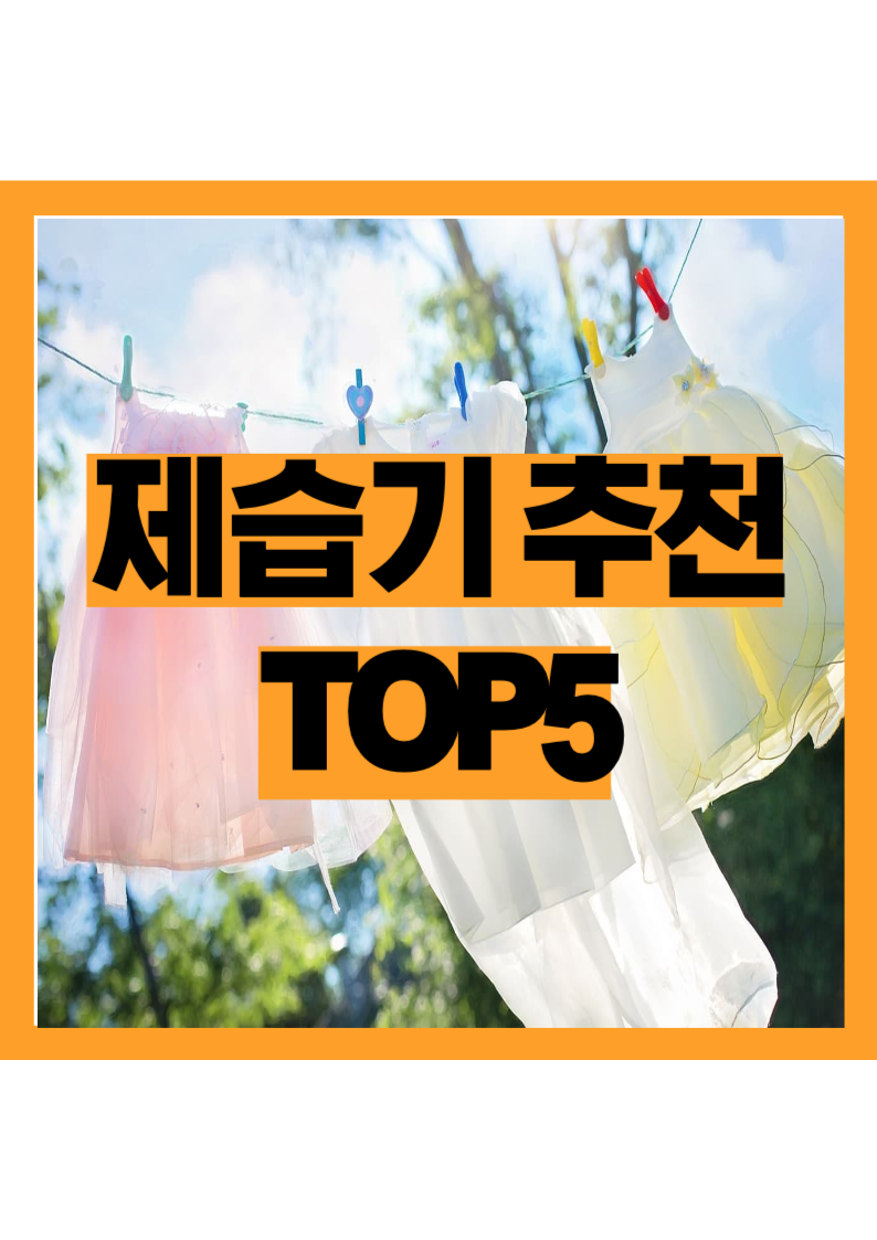 실사용 만족도 높은 제습기 BEST5, 가성비도 전기세도 다 잡았다