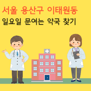 서울 용산구 이태원동 일요일 문여는 약국
