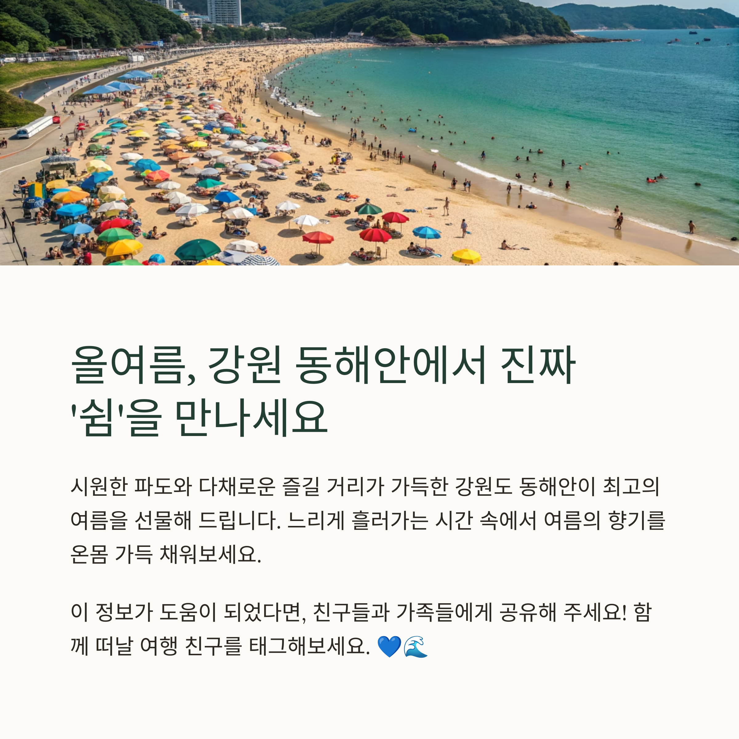 동해 88개 해수욕장 개장 일정